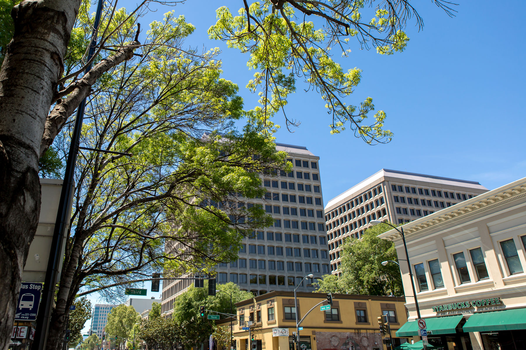 san jose convention and visitors bureau