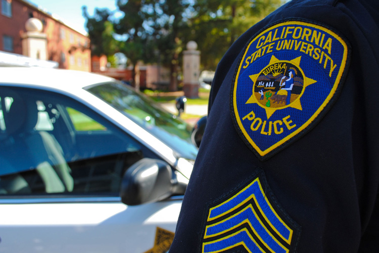 A close up of a police uniform badge.