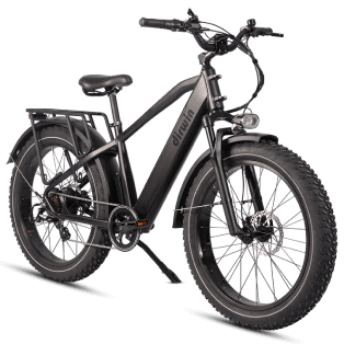 Pioneer E-Bike