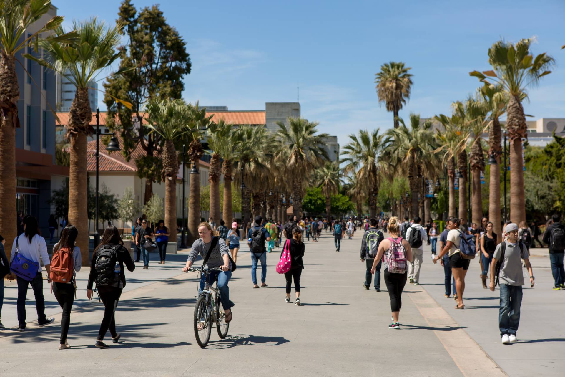 SJSU general campus