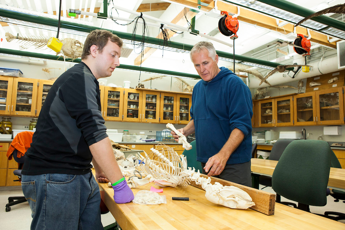 student and professor in a lab looking at skull.