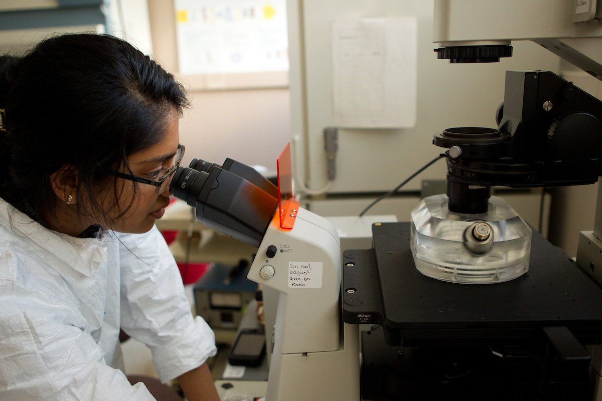 student looking through microscope