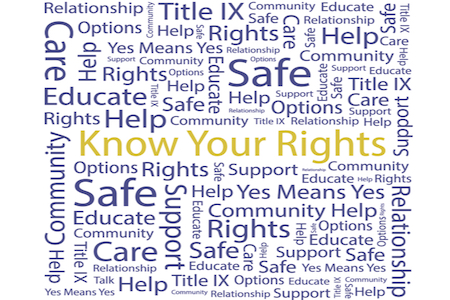 word cloud of title ix concepts.