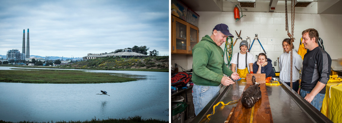 A view of MLML and of a professor and students working with marine life.