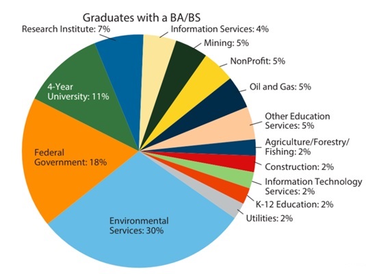 pie chart geology jobs with a bs