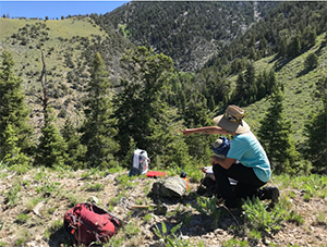 Student points out formation in the field