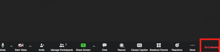 Zoom end meeting option.