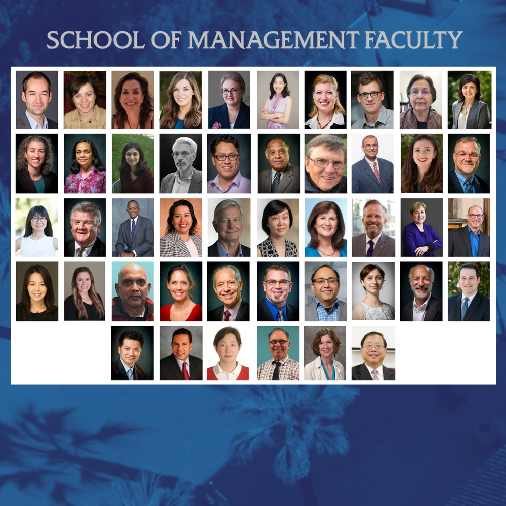 Faculty in the School of Management