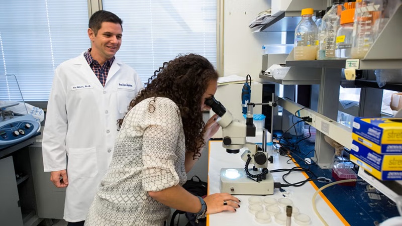 two people working in lab