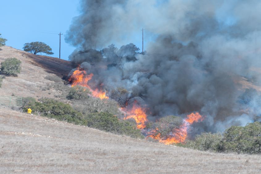 Prescribed burn on a 100-acre canyon.